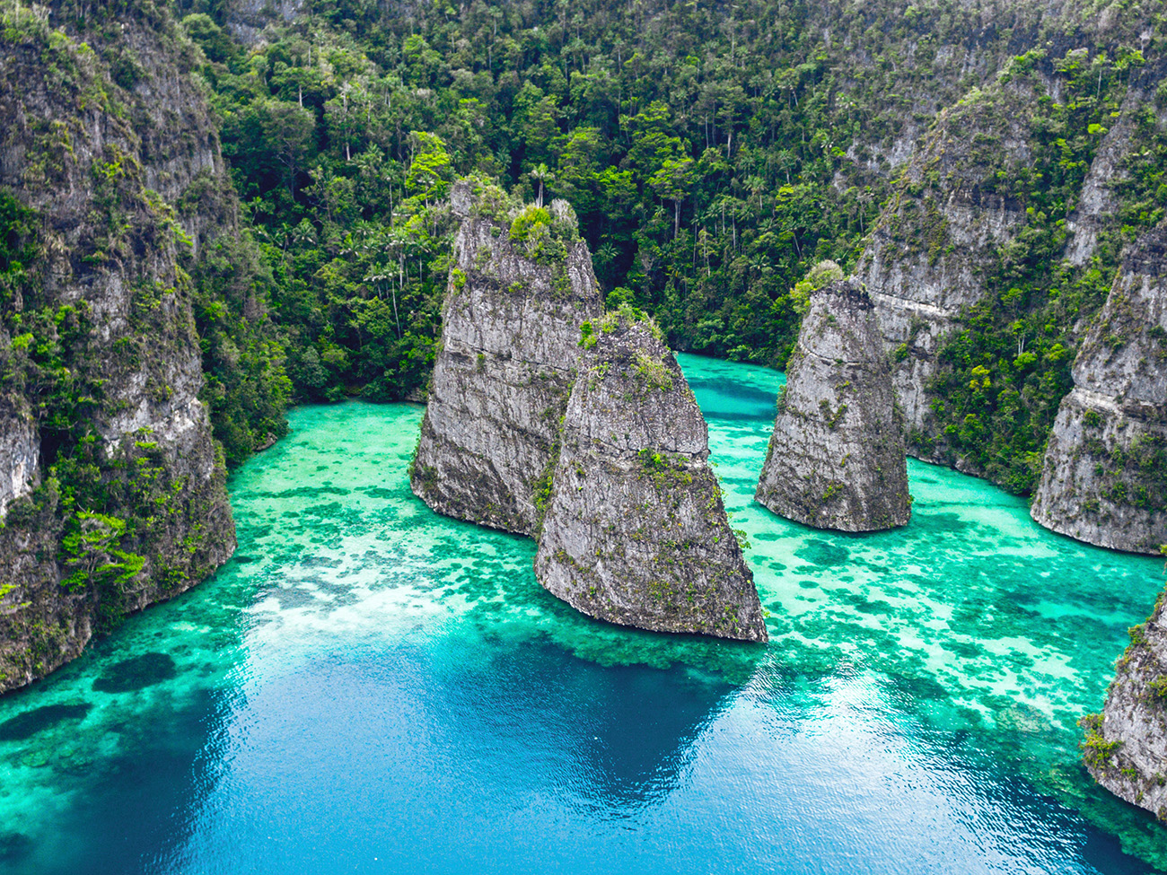 Misool Raja ampat